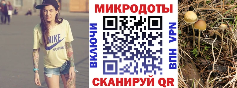Псилоцибиновые грибы Cubensis  Купить где  Анапа 